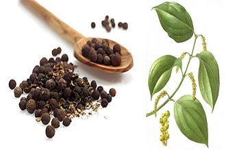 Шта пиперине ради за ваше тело?